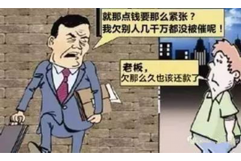 肥城债务清欠服务